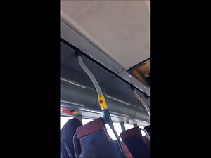 Flashing on bus in Sweden 003