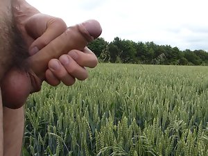 Nude outside in a public field playing with penis & cumming
