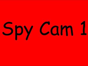 spycam 2