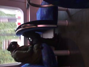 Wank in public train. (No cum)
