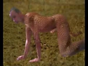 gepard cheetah pornhub crazy cat kitty wilde Katze Wildkatze Raubtier nackt